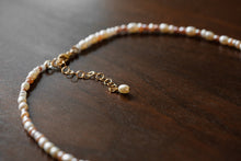 Load image into Gallery viewer, Multicolored pearl necklace