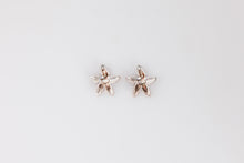 Load image into Gallery viewer, Starfish Earrings