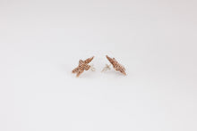 Load image into Gallery viewer, Starfish Earrings