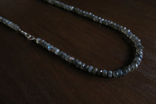 Load image into Gallery viewer, Labradorite Knotted Opera Length Necklace