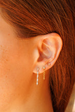 Load image into Gallery viewer, Swag Earring